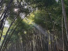 -敬亭山风景名胜区