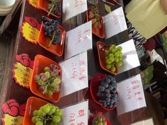 -马陆小张葡萄园农家乐