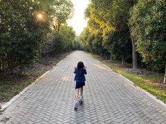 -上海海湾国家森林公园