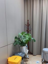 -杭州米兰柏羽医疗美容医院