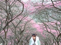 -新建村梅花