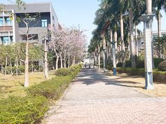 -广东岭南职业技术学院(清远校区)