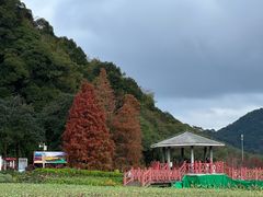 -广州市石门国家森林公园