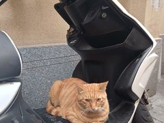 -凌记(泮塘路店)