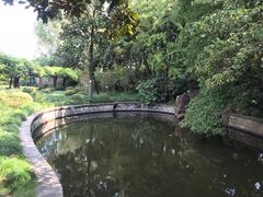 -嘉定紫藤园