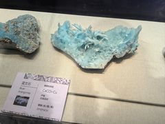 -天津自然博物馆