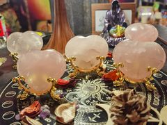 -雪灵魔法世界SHELLY’S TAROT(大良桂畔里店)