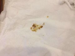 -新富特功夫足疗(华都园大厦店)
