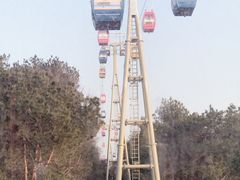 -东湖磨山景区