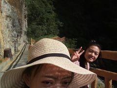 -武陵山森林公园
