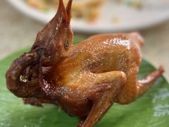 红烧乳鸽-煲煲掂风味煲仔饭餐厅(西区店)