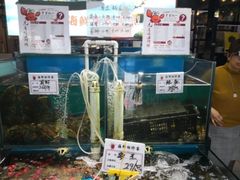 水产区-九层海鲜塔(市南店)