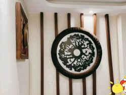 -健身堂科技美肌SPA
