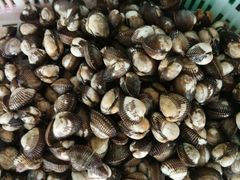 毛禄-浪琴湾尾角仔海鲜坊