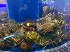 -新海渔港·胶东海鲜家常菜·家宴(奥体中心店)