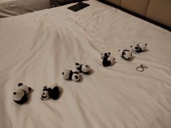 -曲江惠宾苑宾馆(大雁塔大唐不夜城店)