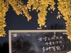 -自如ZSPACE四合院艺术餐厅