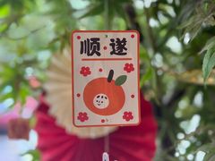 -乔曰Qiao Yue·茶咖局