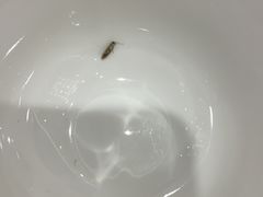 -沪华海鲜大酒楼(南汇店)
