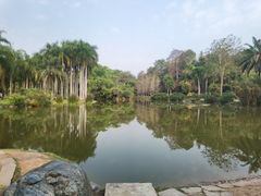 -中国科学院西双版纳热带植物园