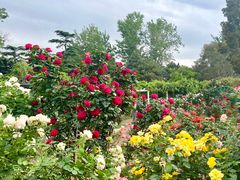 -国家植物园南园