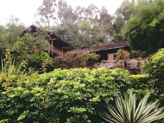 -深圳国际园林花卉博览园