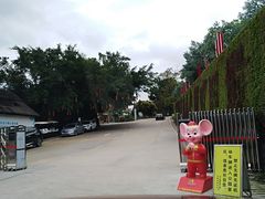 -广州市石门国家森林公园