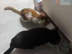 -宠颐生中康贝怡动物医院