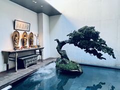 -觀芷隐轩