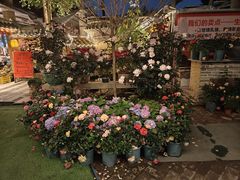 -园林美食城·本土农家菜(杨和镇店)