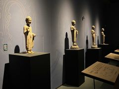 -广西壮族自治区博物馆