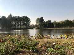 -东郊湿地公园