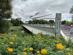 -哈尔滨大剧院