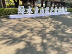 -大湾区中央湿地公园