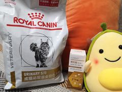 -狗舍宠物医院(四季商业广场店)