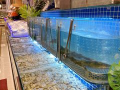 -芭菲盛宴·环球美食(袁家岗店)