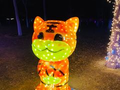 -青龙湖公园