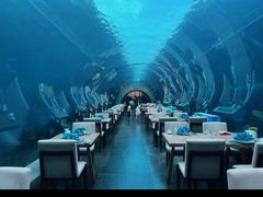 -海棠湾洲际-涛·海底餐厅·美人鱼·自助餐·海底隧道