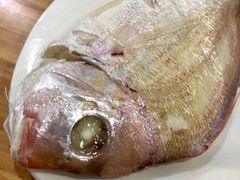 -长平肥姐白粥·海鲜打冷