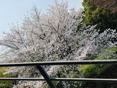 -IKEA宜家家居(南京商场)