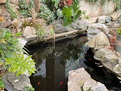 -谷咖啡·鲜花绿植花园餐厅