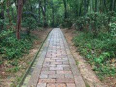 -上海佘山国家森林公园天马山园