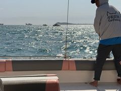 -小猫钓鱼海钓俱乐部(椰梦长廊店)