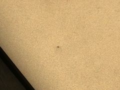 -愈舍YUSPA(朝外店)