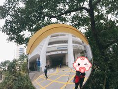-香港大学