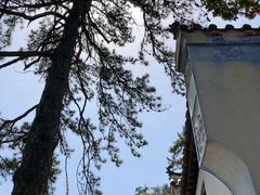 -塔云山
