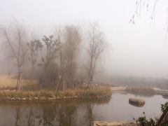 -习家池