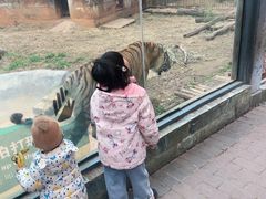 -昆明动物园