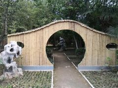 -宝鸡植物园