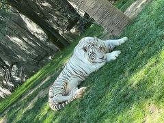 -北京野生动物园